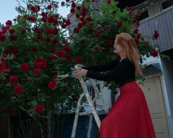 Roses garden