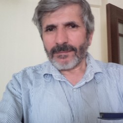 عضو